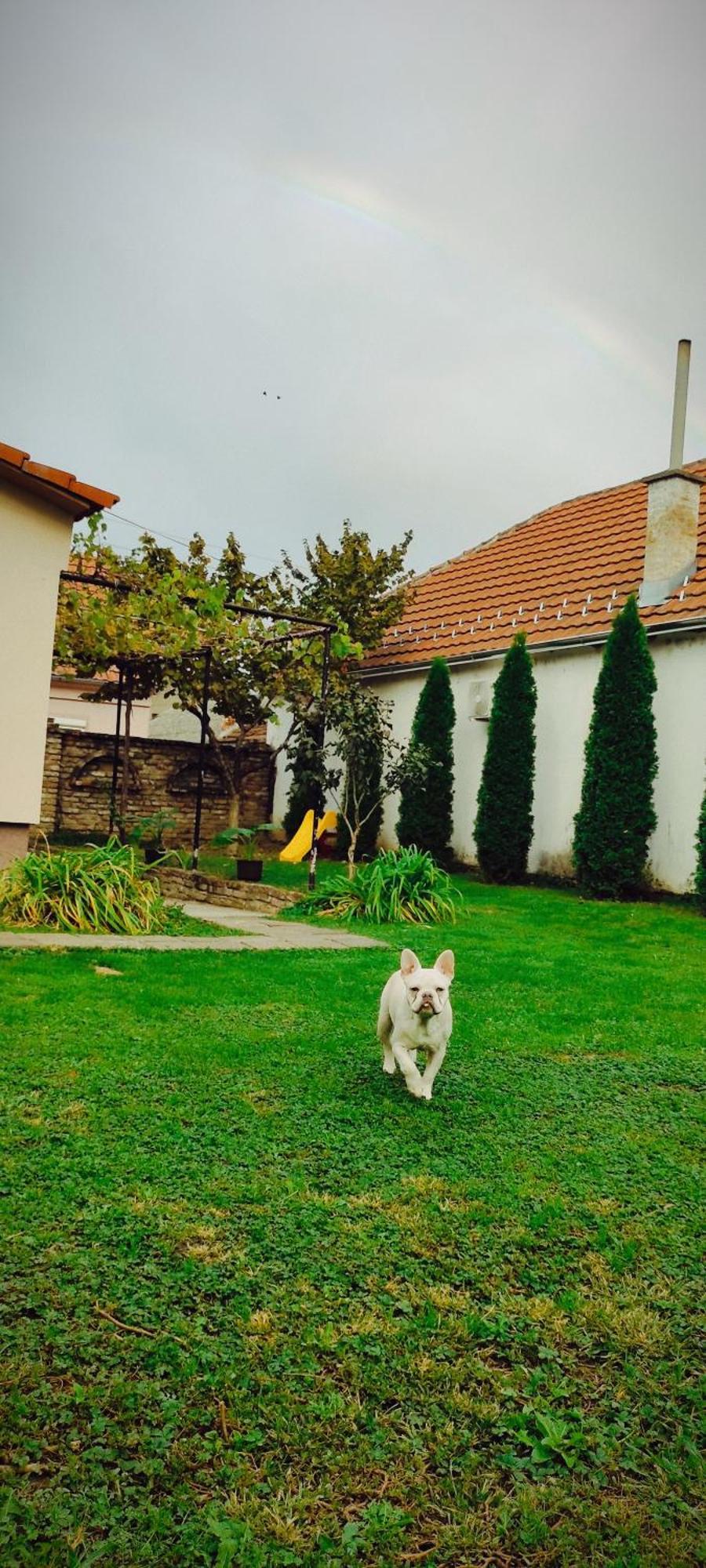 Apartmani Kacara Sremski Karlovci Bagian luar foto